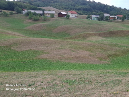 Suša - slike (2)